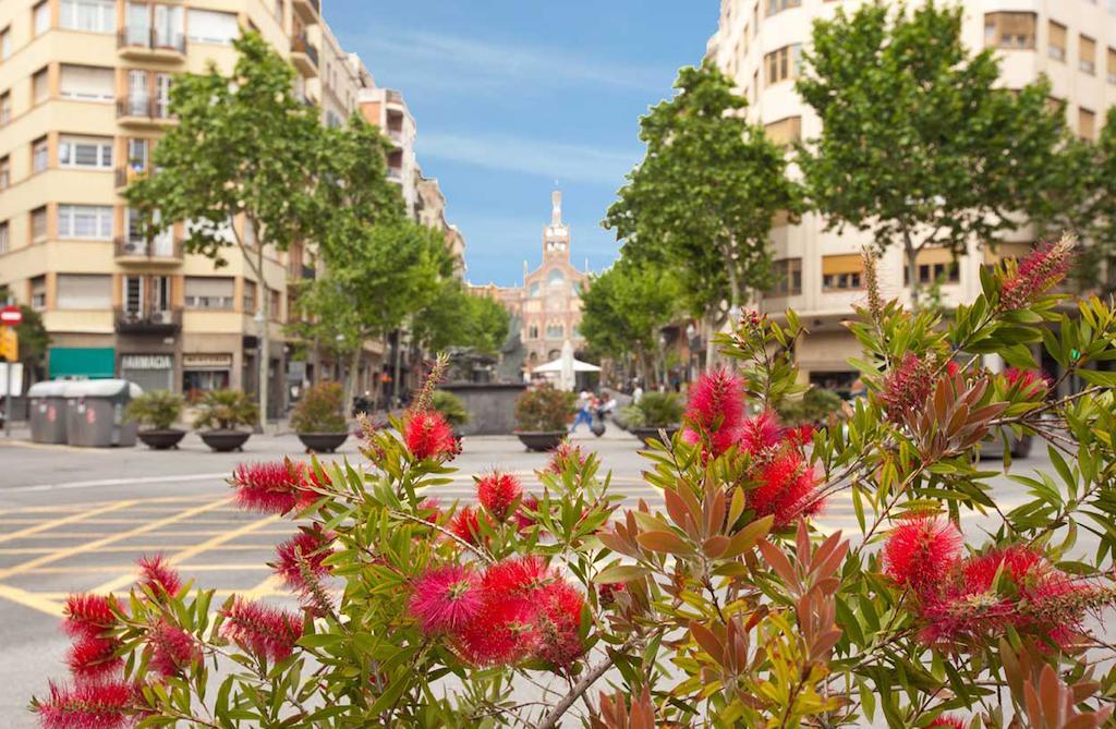 Letsgo Sagrada Familia Penthouse Apartamento Barcelona Quarto foto